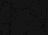 Attached Image